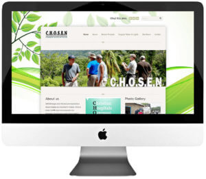 Non Profit Organization Custom Web Design