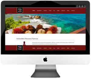 Fruit Juice Manufacturer eCommerce store Development