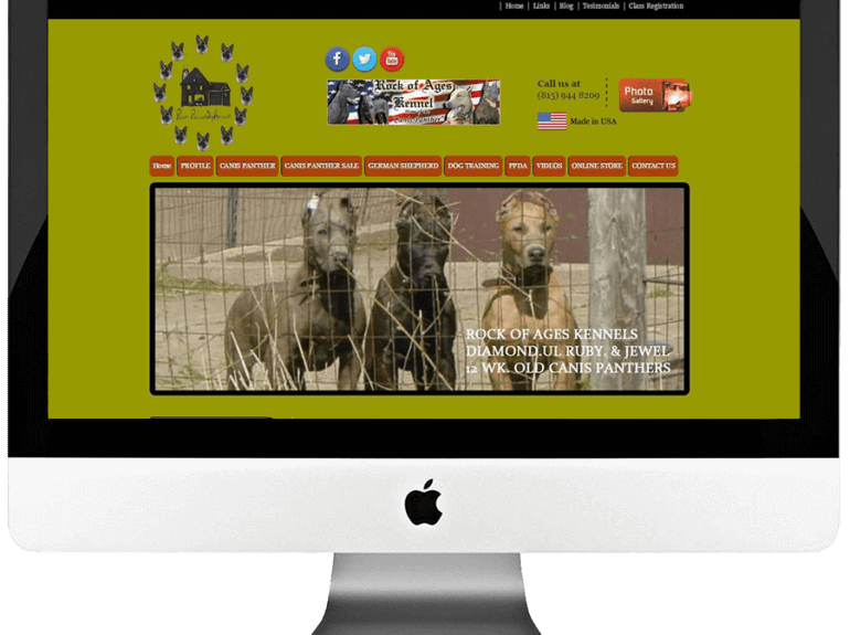 Dog Trainer Custom WordPress Website Development