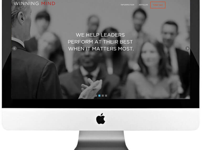 Management Consulting Responsive WordPress Website Development