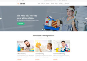 Cleaning Company Responsive WordPress Website Design Agency