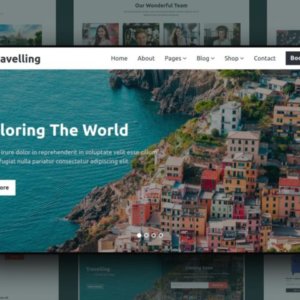 Travel Agency WordPress Website Design